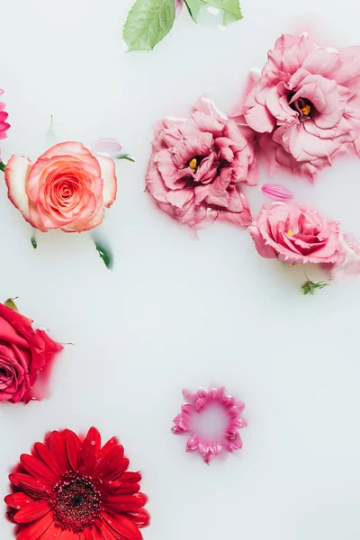 Ovanifrån Färgglada Rosor Gerbera Och Krysantemum Blommor Mjölk — Stockfoto