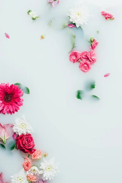 Top View Various Beautiful Colorful Flowers Milk Background — Stock Photo, Image