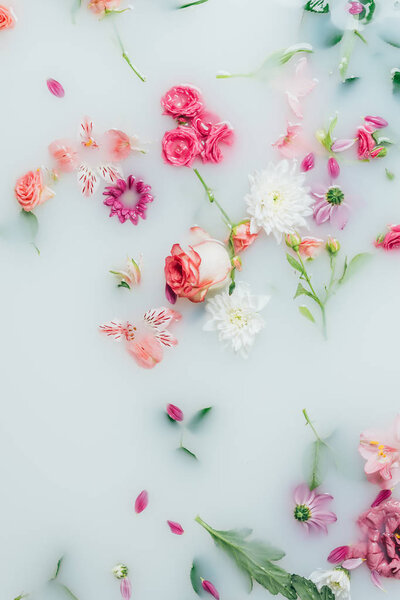 top view of various beautiful colorful flowers in milk background
