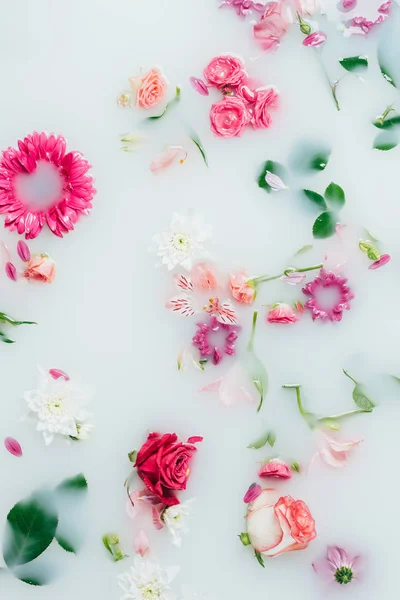 Top View Various Beautiful Colorful Flowers Milk Background — Stock Photo, Image