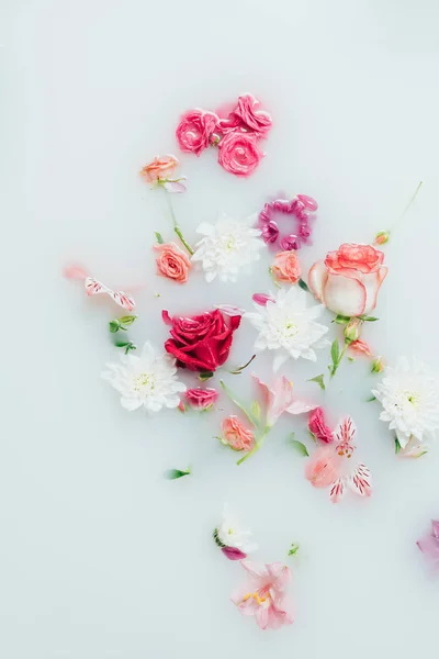 Bovenaanzicht Van Diverse Prachtige Kleurrijke Bloemen Melk Achtergrond — Stockfoto