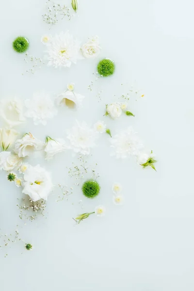 Vista Superior Hermosas Flores Crisantemo Blanco Verde Gypsophila Leche — Foto de Stock