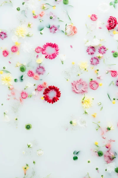 Top View Various Beautiful Flowers Milk Background — Stock Photo, Image