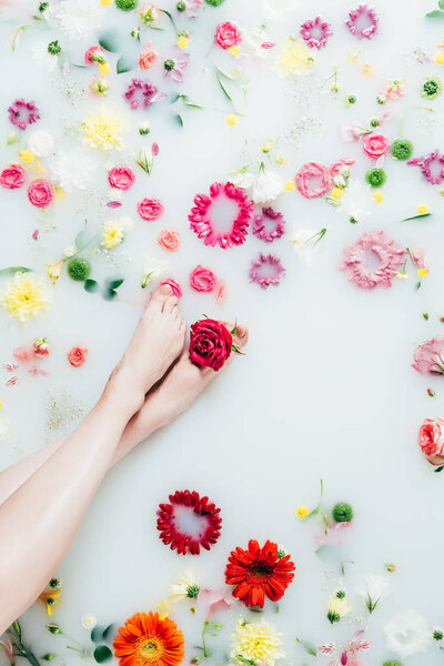 cropped shot of female legs and various arranged beautiful flowers in milk