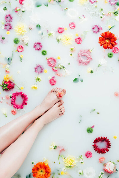 cropped shot of female legs and various arranged beautiful flowers in milk