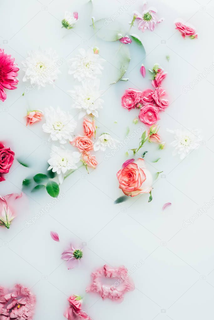 top view of various beautiful colorful flowers in milk background