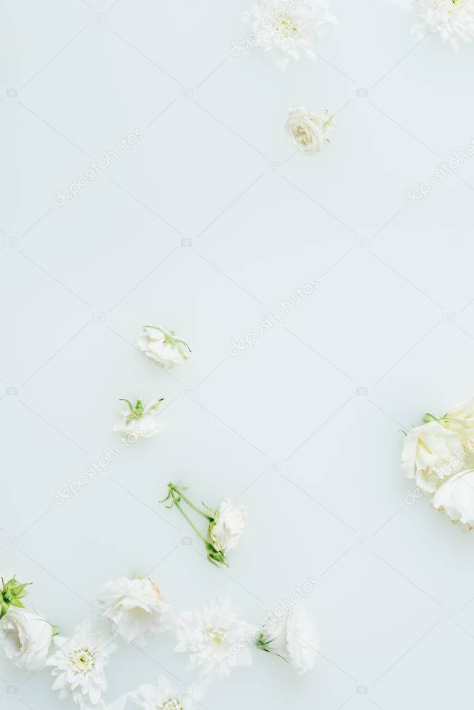top view of arranged beautiful white flowers in milk
