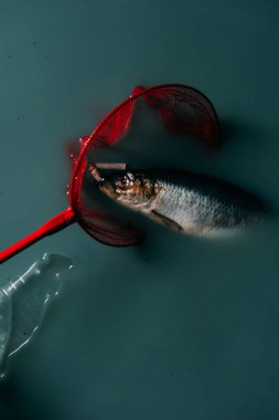 top view of fish with cigarettes in red butterfly net and plastic bottle near by flowing in water, environmental protection clipart