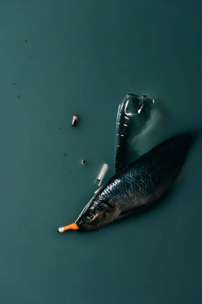 Draufsicht Auf Fische Plastikflasche Und Wasser Fließende Zigaretten Umweltschutzkonzept — Stockfoto