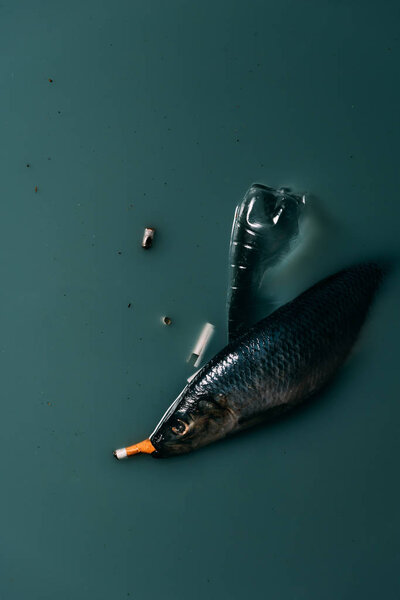 top view of fish, plastic bottle and cigarettes flowing in water, environmental protection concept