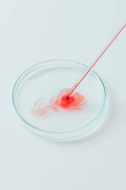 close-up shot of blood pouring from pipette into petri dish clipart