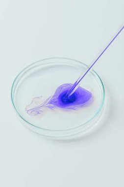 mavi sıvı pipet petri kabına dökme yakın çekim çekim