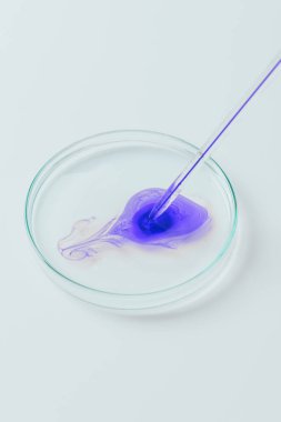 close-up shot of blue liquid pouring from pipette into petri dish clipart