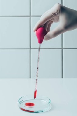 petri kabına pipet Doktor dökülen kanı atış kırpılmış