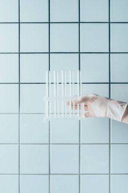 cropped shot of doctor in glove holding test tubes in stand in front of tiled white wall clipart