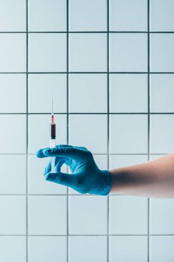 cropped shot of doctor in glove holding syringe of blood in front of tiled white wall clipart