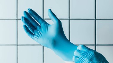 cropped shot of medical worker putting on blue rubber gloves in front of tiled white wall clipart