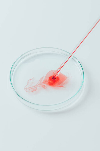 close-up shot of blood pouring from pipette into petri dish