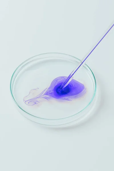 Mavi Sıvı Pipet Petri Kabına Dökme Yakın Çekim Çekim — Stok fotoğraf