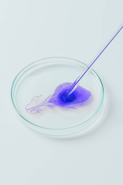 close-up shot of blue liquid pouring from pipette into petri dish