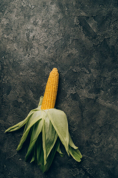 top view of one ripe corn on grey dark table