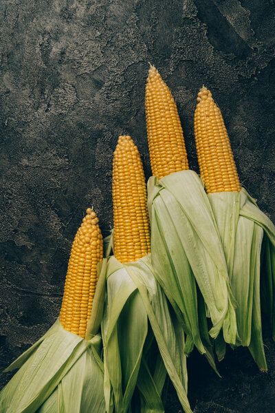 top view of four corn cobs on grey dark table