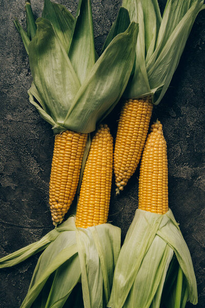 elevated view of four corn cobs on grey dark table