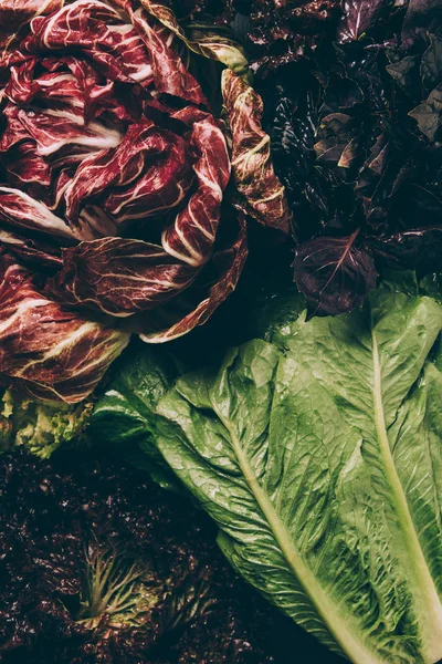 üstten görünüm radicchio, fesleğen yaprakları ve yeşil salata