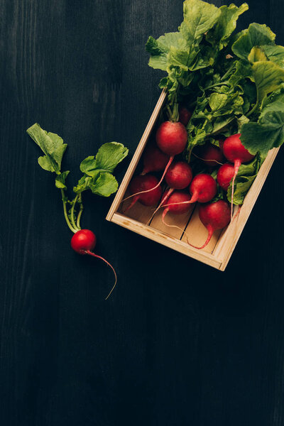 elevated view of radishes in wooden box on grey dark table