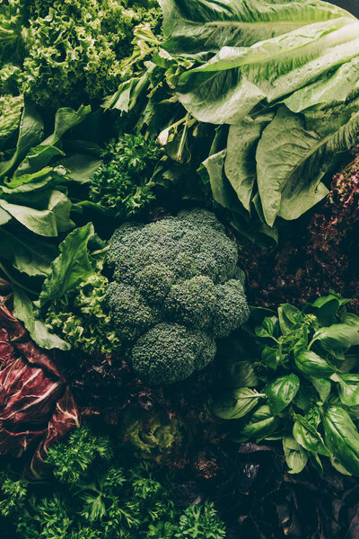 top view of broccoli and leafy vegetables and herbs on table