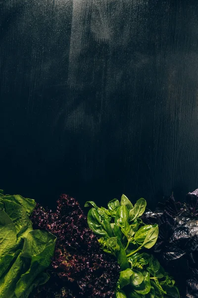 Top View Basil Cabbage Grey Dark Table — Stock Photo, Image