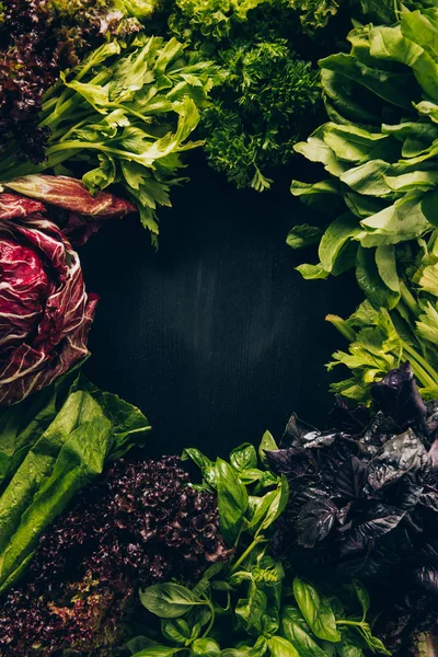 灰色暗いテーブルの異なる緑豊かな野菜やハーブのトップ ビュー — ストック写真
