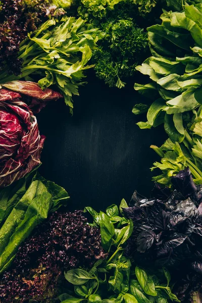 top view of different leafy vegetables and herbs on grey dark table