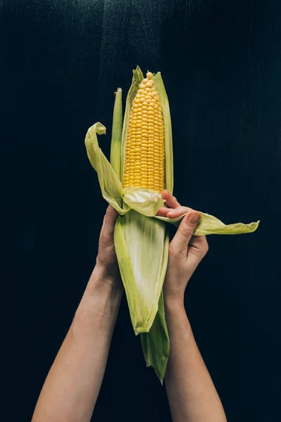 Beskuren Bild Kvinna Med Majskolv Händerna — Stockfoto