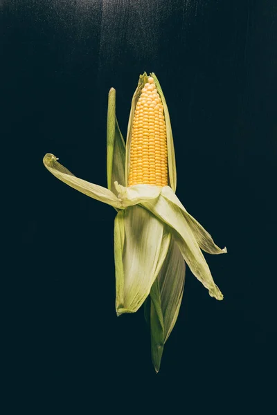 Top View One Appetizing Corn Cob Grey Dark Table — Free Stock Photo