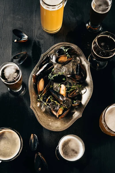 top view of arrangement of mugs of beer and mussels with ice cubes on dark wooden tabletop