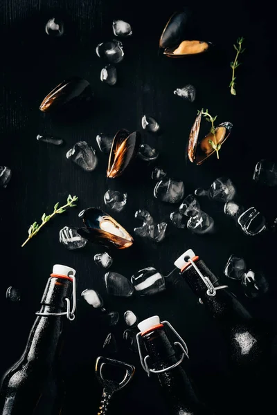 Flat Lay Bottle Opener Bottles Beer Mussels Ice Cubes Arranged — Free Stock Photo