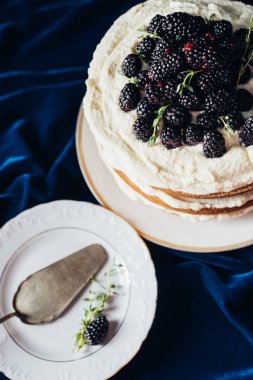 taze pişmiş böğürtlen pasta plaka ve pasta sunucu o mavi bezle yüksek açılı görünüş