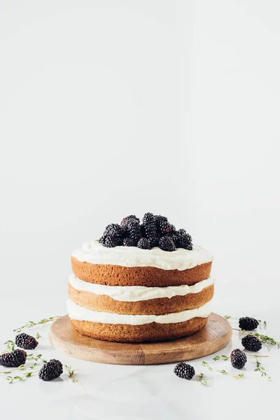 Freshly Baked Blackberry Cake Wooden Cutting Board White — Stock Photo, Image