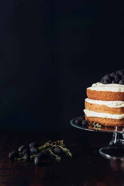 Lekker Vers Gebakken Cake Van Het Blackberry Glas Stand Zwart — Stockfoto