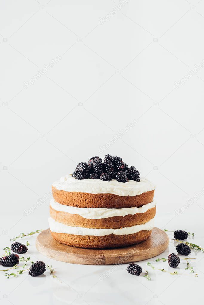 freshly baked blackberry cake on wooden cutting board on white
