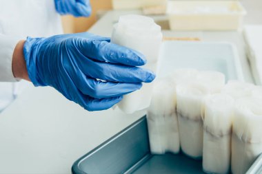 bilim adamı bu durumda lateks eldiven tohumları ile kağıt modern laboratuvar olarak koymak resim kırpılmış 