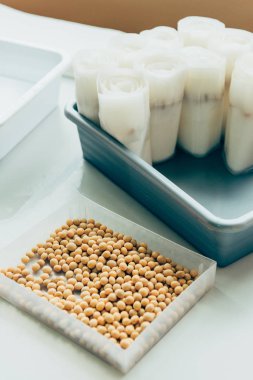 modern tarımsal laboratuvar masasında plastik kap içinde tohum görünümünü kapat 
