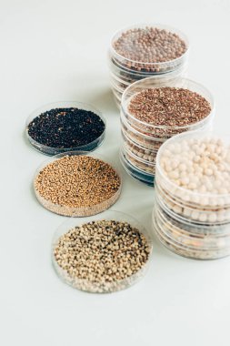 seçici odak modern tarımsal Laboratuvar plastik kaplarda çeşitli tohum 