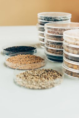 close up view of various seeds in plastic containers in modern agro laboratory  clipart