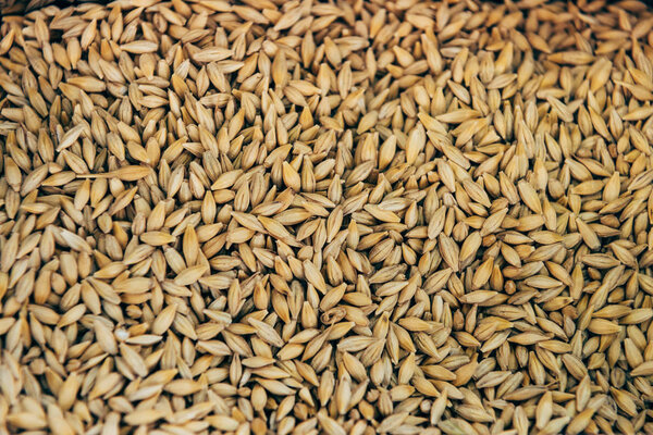 полная рамка изображения кучи зерна фона
 