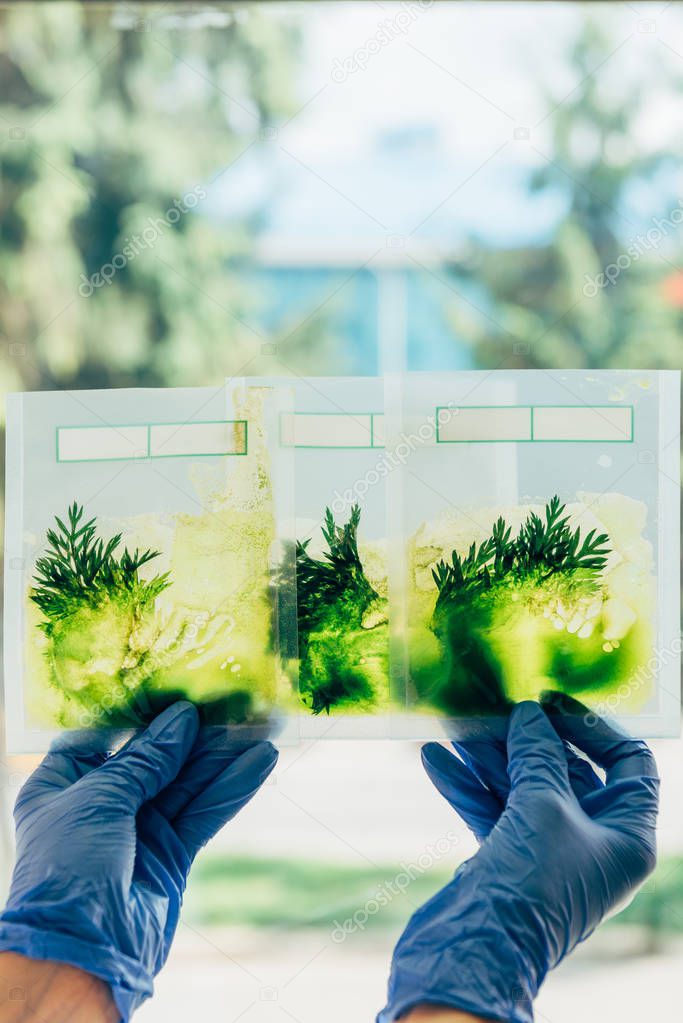 cropped image of biologist in latex gloves examining grass in packages in modern laboratory 