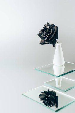 siyah üzerine beyaz izole aynalar yansıtan vazoda gül