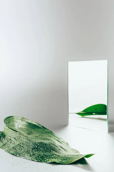 Feuille Verte Réfléchissant Dans Miroir Sur Table Blanche — Photo