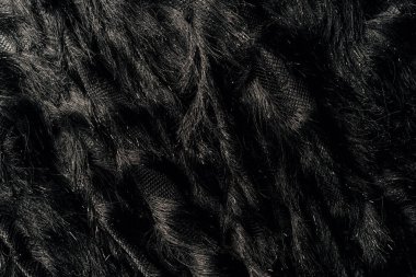 elevated view of furry black textile as background  clipart